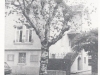 1946-04-schulgebude-rua-da-gondarem-1952