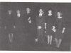 1961-19-konfirmation-66